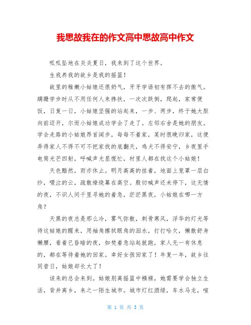 我思故我在的作文高中思故高中作文