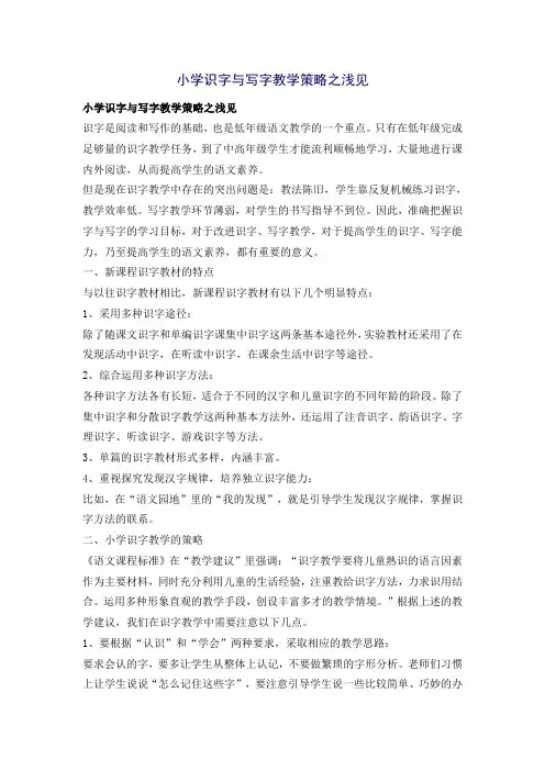 小学识字与写字教学策略之浅见