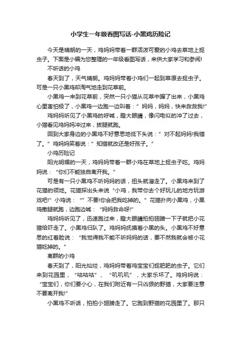 小学生一年级看图写话-小黑鸡历险记