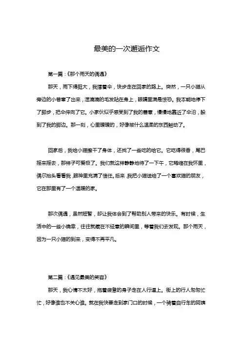 最美的一次邂逅作文