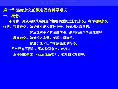 远缘杂交