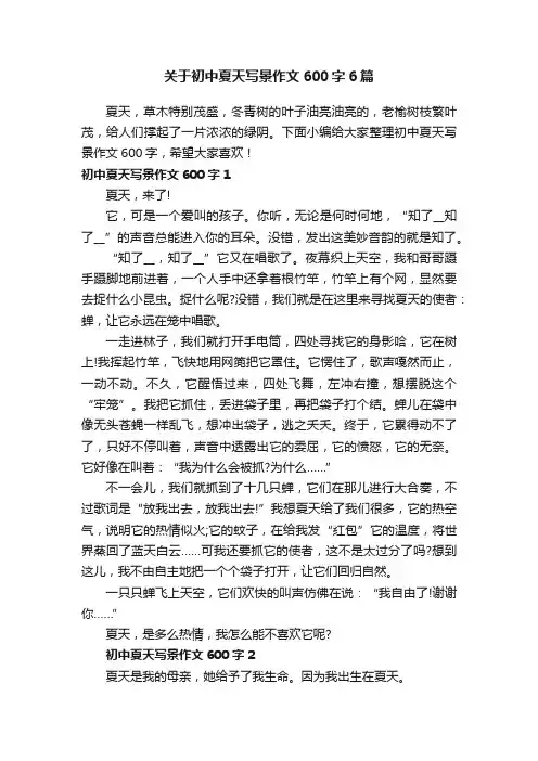 关于初中夏天写景作文600字6篇