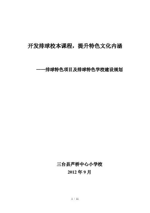 芦桥小学排球特色项目及排球特色学校建设规划1