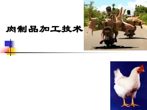 肉制品加工技术详解
