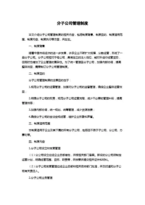 分子公司管理制度