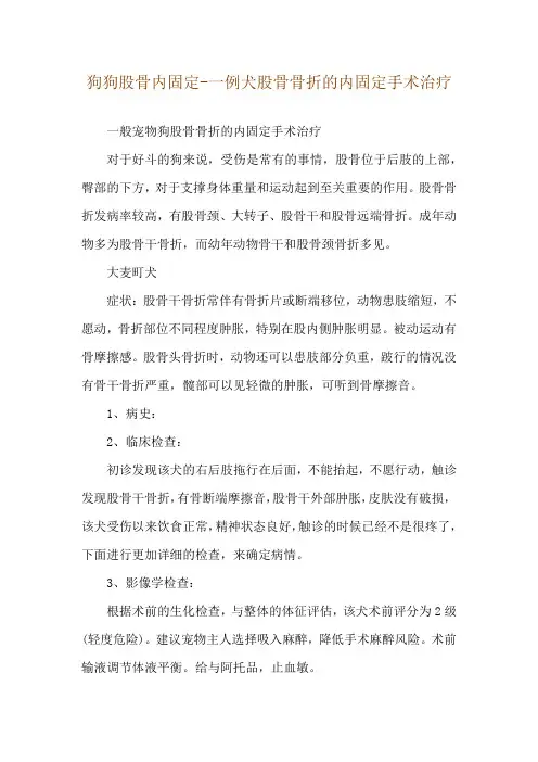 狗狗股骨内固定-一例犬股骨骨折的内固定手术治疗