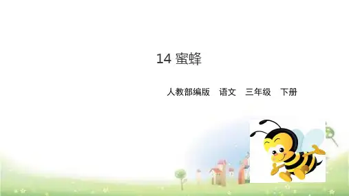 新版三年级下：第四单元第14课蜜蜂   (共30张PPT) 人教部编版