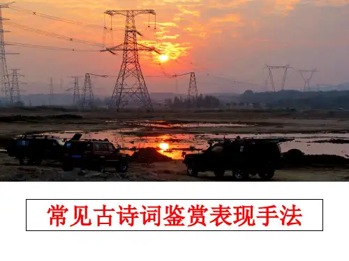 最新常见古诗词鉴赏表现手法PPT课件