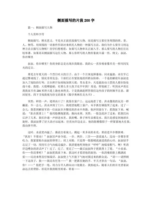 侧面描写的片段200字