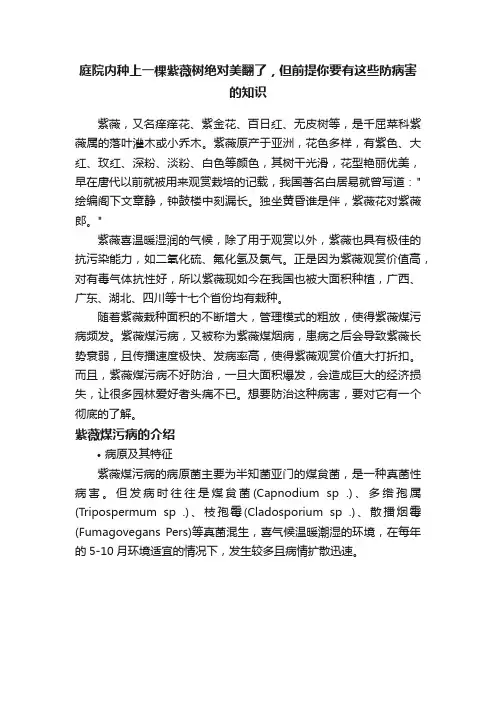 庭院内种上一棵紫薇树绝对美翻了，但前提你要有这些防病害的知识