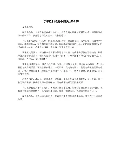 【写物】我爱小白兔_600字