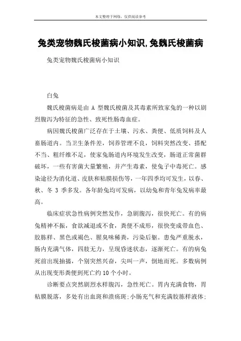 兔类宠物魏氏梭菌病小知识,兔魏氏梭菌病
