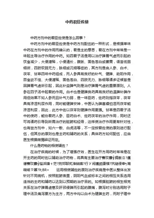 中药君臣佐使