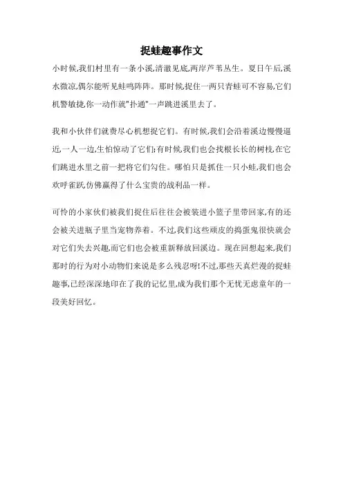 捉蛙趣事作文