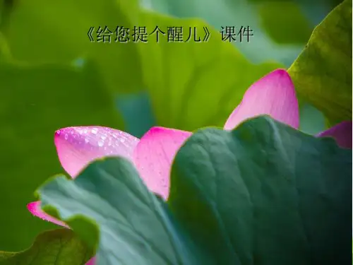 人教版四年级美术：《给您提个醒儿》课件1