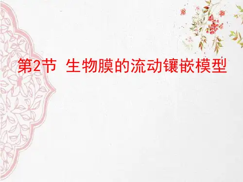 新版人教生物生物膜的流动镶嵌模型(共17张PPT)学习演示PPT课件