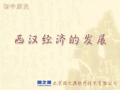 西汉经济的发展全面版