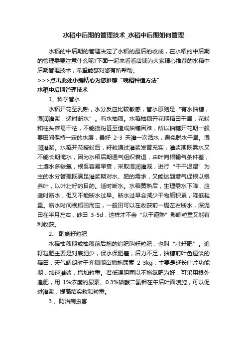 水稻中后期的管理技术_水稻中后期如何管理