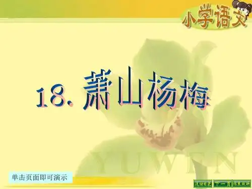 最新语文S版四年级语文下册18、萧山杨梅PPT课件(PPT公开课优质教学课件)B