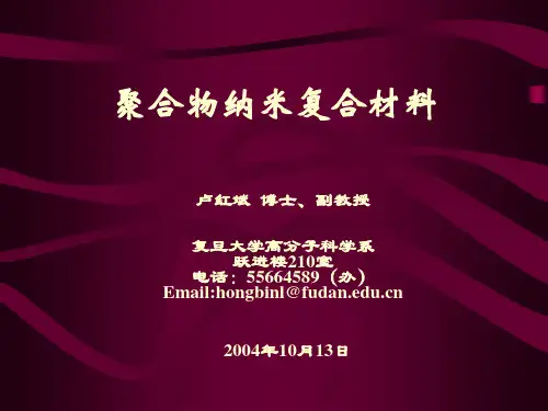 聚合物纳米复合材料