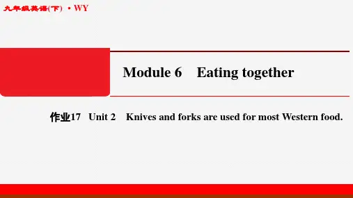 2020年春江苏启东九年级英语下(WY)Module6-作业课件17