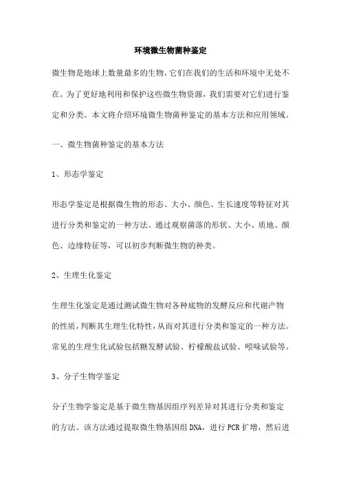 环境微生物菌种鉴定