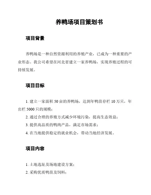 养鸭场项目策划书