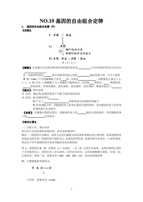 基因的自由组合定律