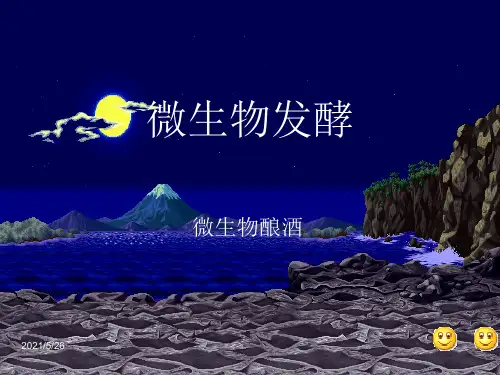 微生物酿酒过程PPT优秀课件