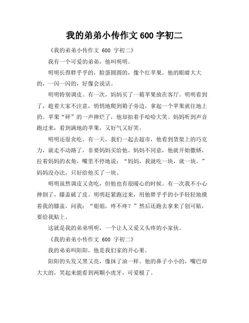 我的弟弟小传作文600字初二