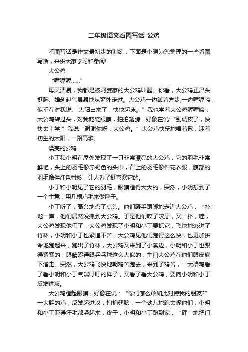 二年级语文看图写话-公鸡