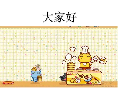 中国民事诉讼法重点讲义 PPT