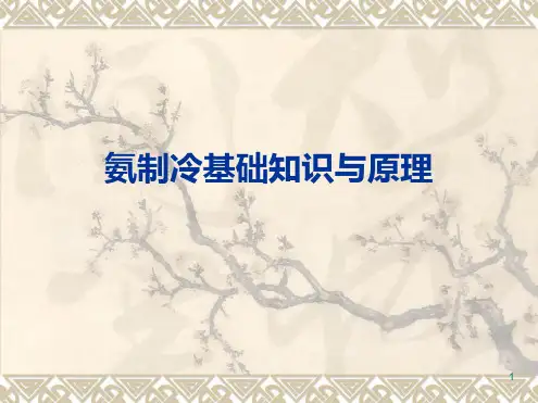 氨制冷基础知识与原理演示幻灯片
