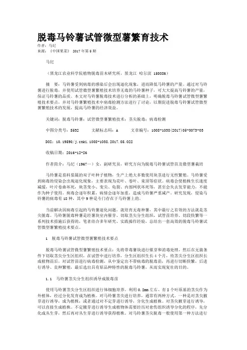 脱毒马铃薯试管微型薯繁育技术