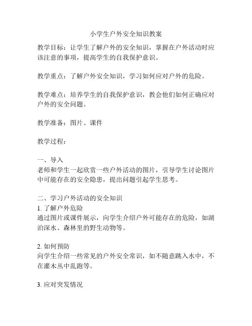 小学生户外安全知识教案