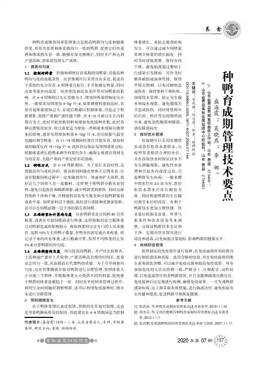 种鸭育成期管理技术要点