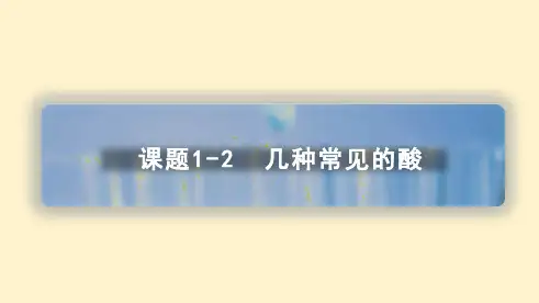 几种常见的酸(课件)九年级下册化学(人教版)
