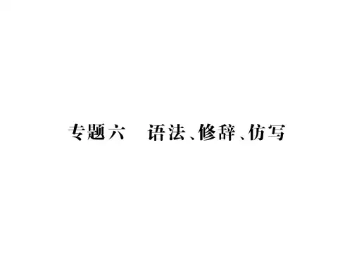 中考语文(贵州)复习课件：第一部分 语言积累与运用 专题六 语法、修辞、仿写(共19张PPT)