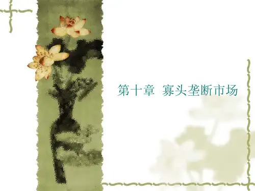 第十章寡头垄断市场详解