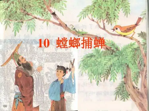 新10《螳螂捕蝉》PPT课件