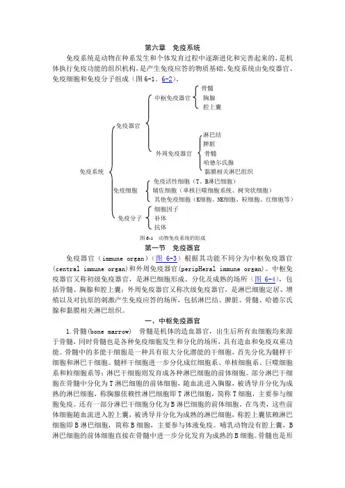第一节 免疫器官