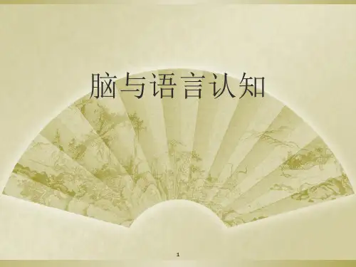 大脑语言功能区PPT精品文档