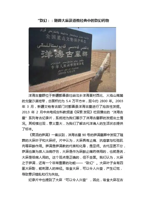 “致幻：：随葬大麻及道教经典中的致幻药物