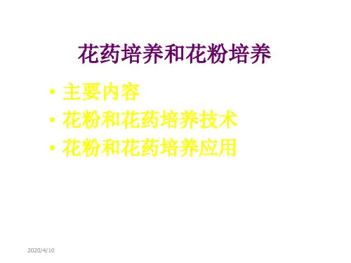 花药与花粉培养