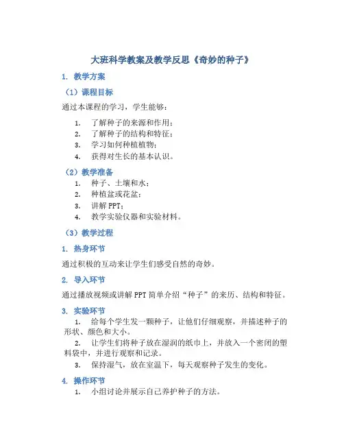 大班科学教案及教学反思《奇妙的种子》