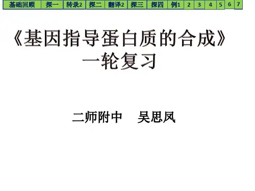 基因指导蛋白质合成(一轮复习公开课)