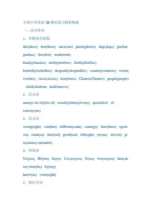 牛津小学英语5B期末复习精彩集锦
