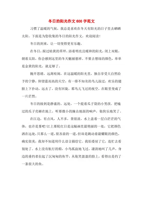 冬日的阳光作文600字范文
