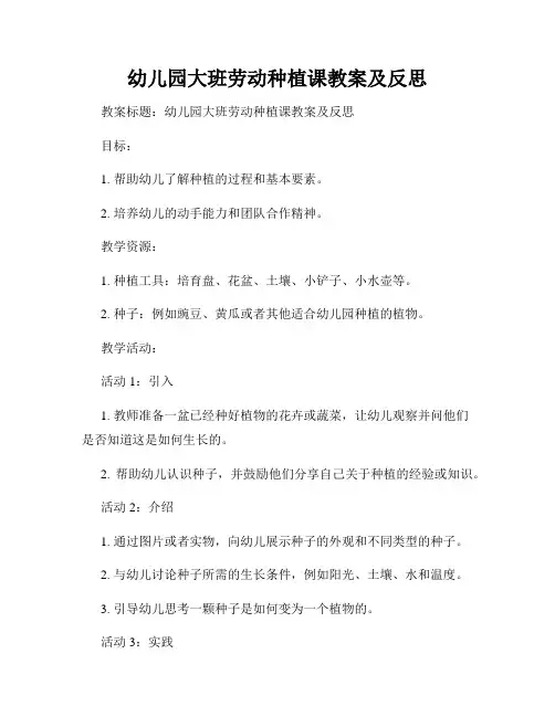 幼儿园大班劳动种植课教案及反思