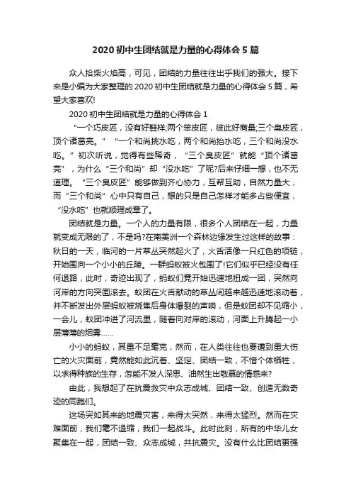 2020初中生团结就是力量的心得体会5篇